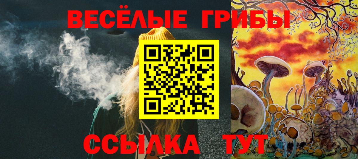 Псилоцибиновые грибы GOLDEN TEACHER Прокопьевск
