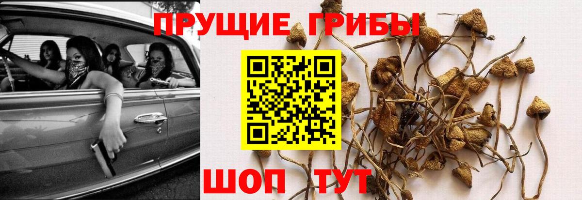 Галлюциногенные грибы ЛСД  Вход с VPN  Прокопьевск 