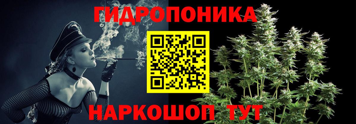 Марихуана план  Вход с VPN  Прокопьевск  Конопля AK-47 