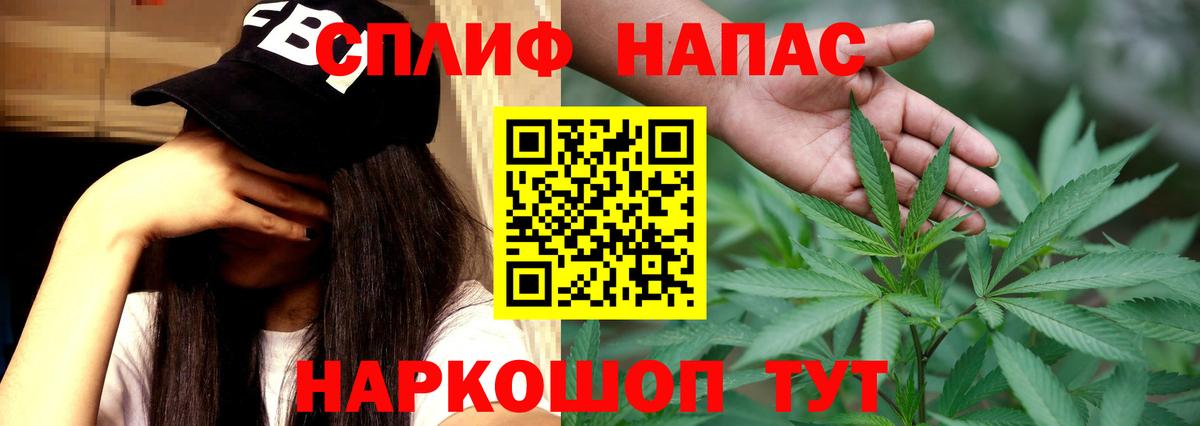 Каннабис план Прокопьевск